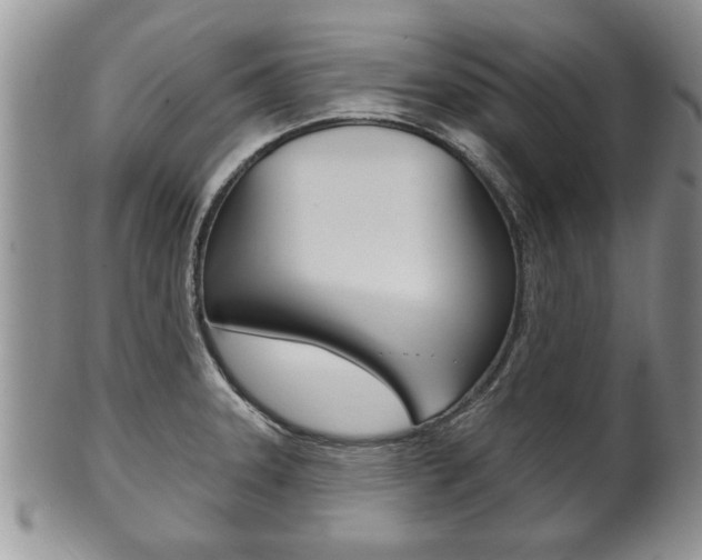 X0000102501331200808080936