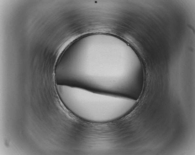 X0000102501332200808080936