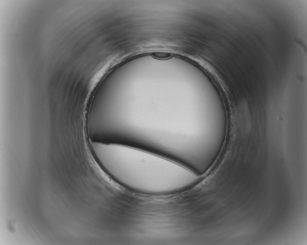X0000102501333200808080936