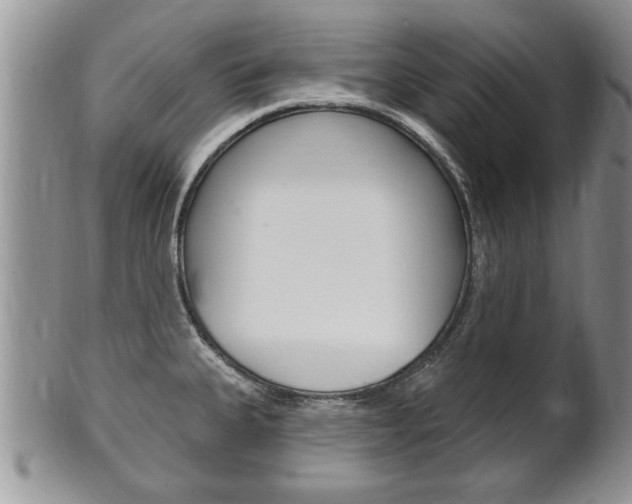 X0000102501335200808080936
