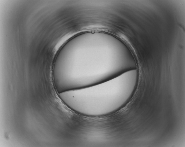 X0000102501336200808080936