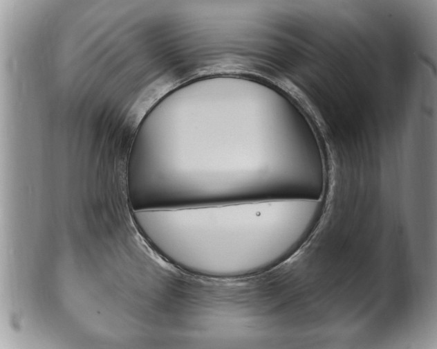 X0000102501337200808080936
