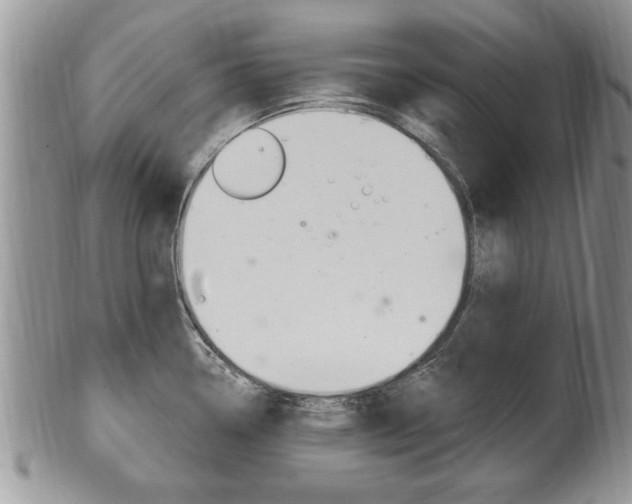 X0000102501338200808080936