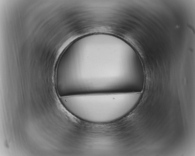 X0000102501339200808080936