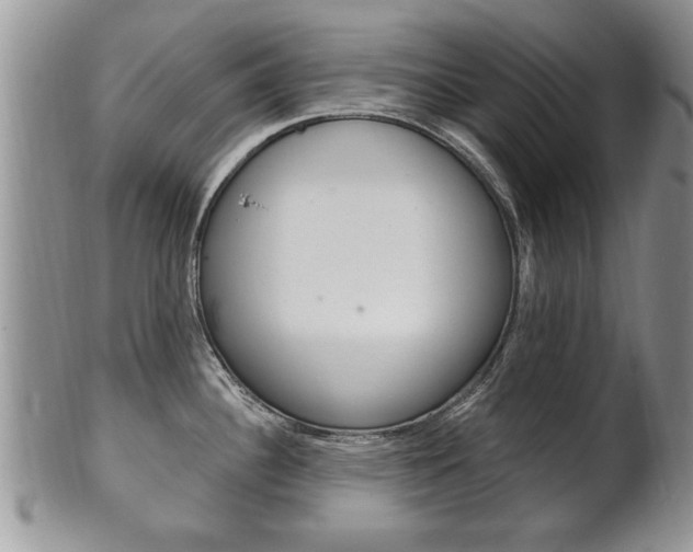 X0000102501340200808080936