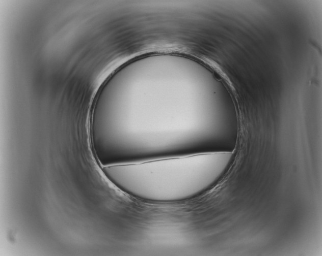X0000102501343200808080936