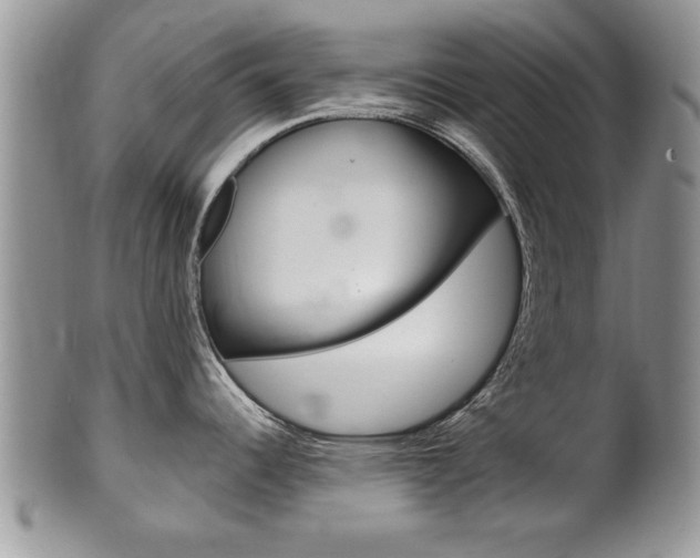X0000102501344200808080936