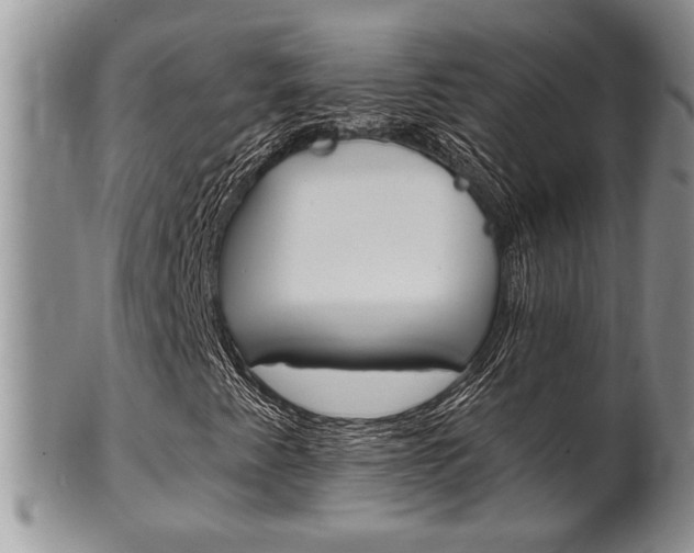 X0000102501345200808080936