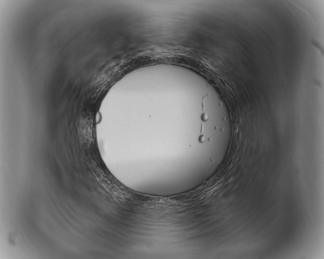 X0000102501348200808080935
