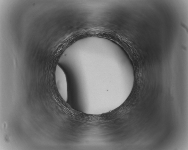 X0000102501349200808080935
