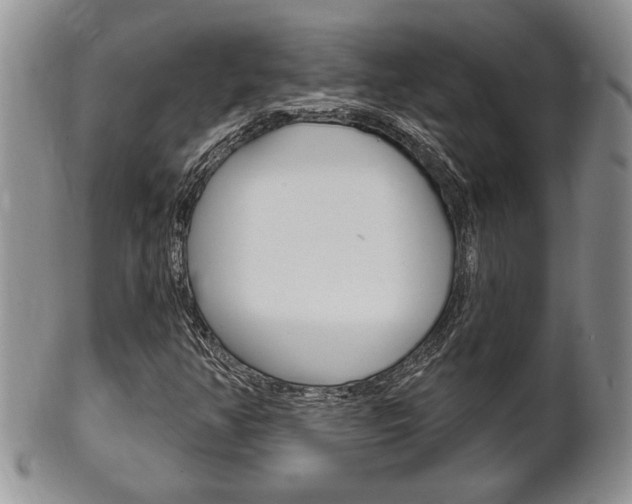 X0000102501350200808080935