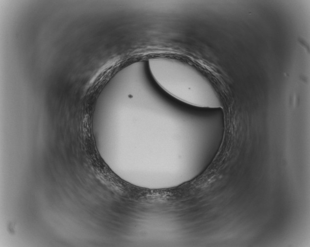 X0000102501351200808080935