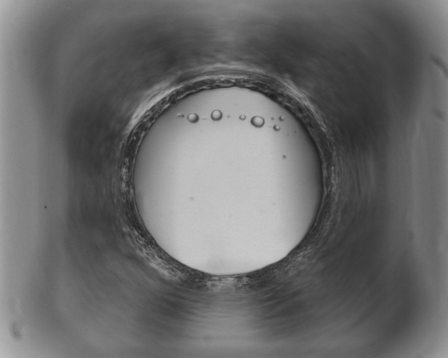 X0000102501352200808080935