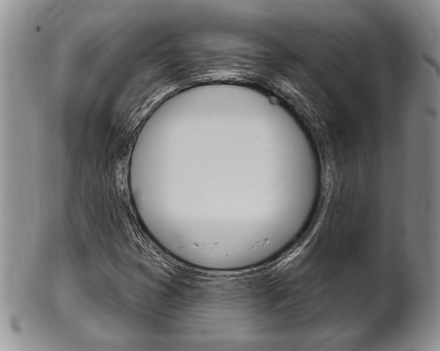X0000102501353200808080935