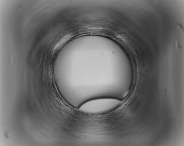 X0000102501354200808080935