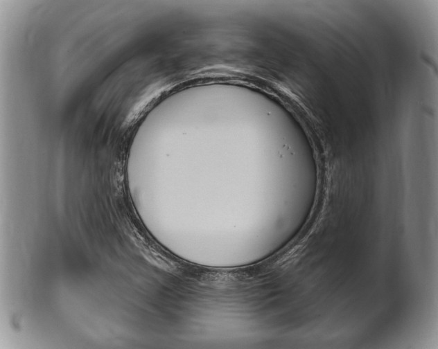 X0000102501355200808080935