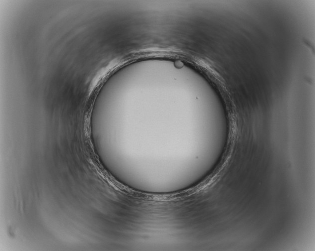 X0000102501357200808080935