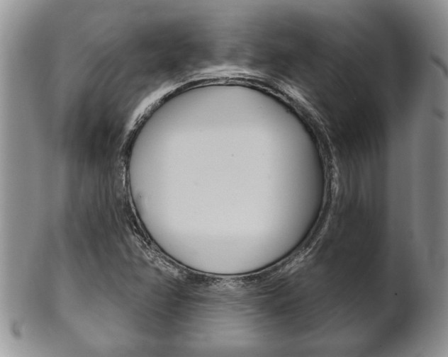 X0000102501358200808080935