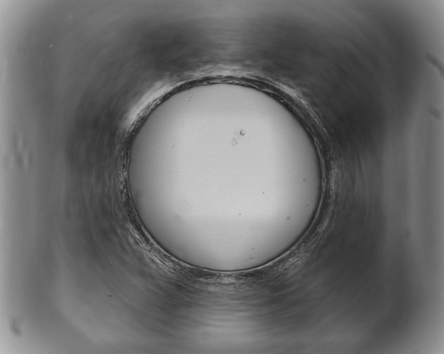 X0000102501359200808080935