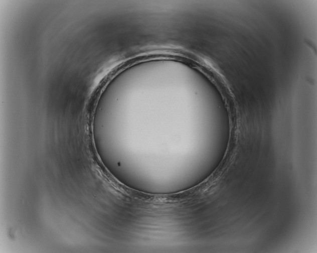 X0000102501360200808080935