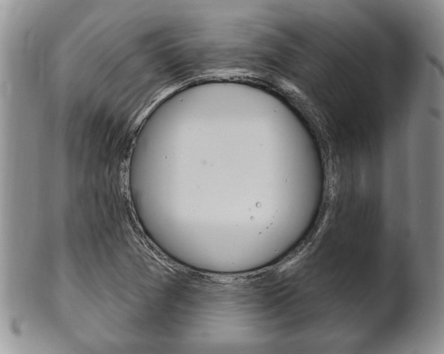 X0000102501361200808080935