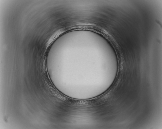 X0000102501362200808080935