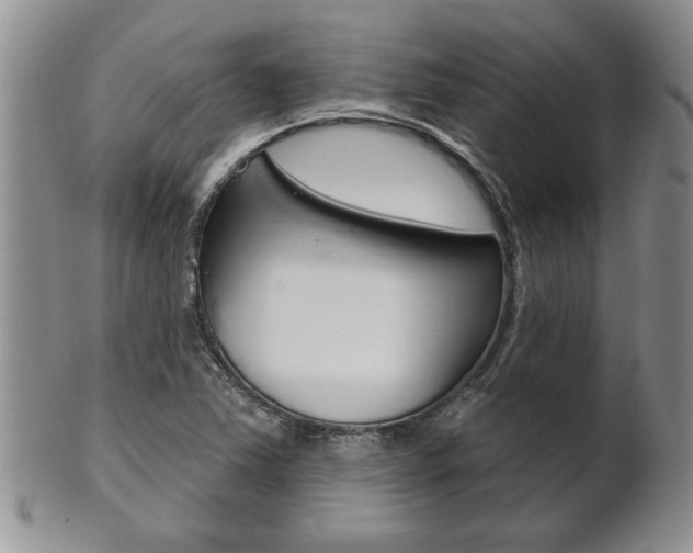 X0000102501363200808080935