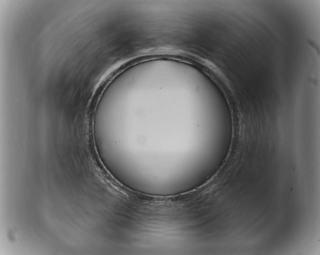 X0000102501364200808080935