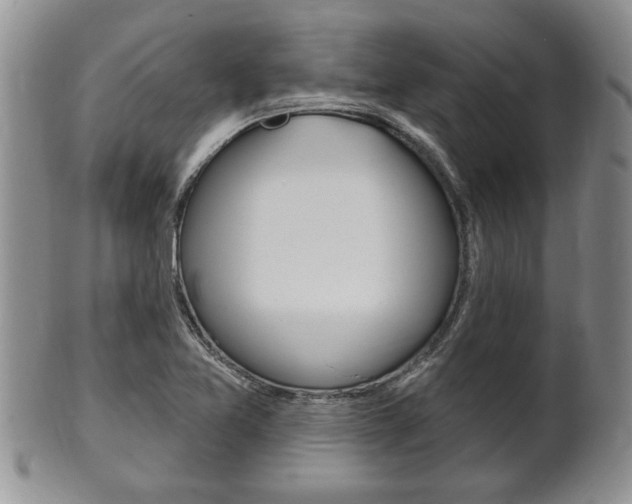 X0000102501365200808080935