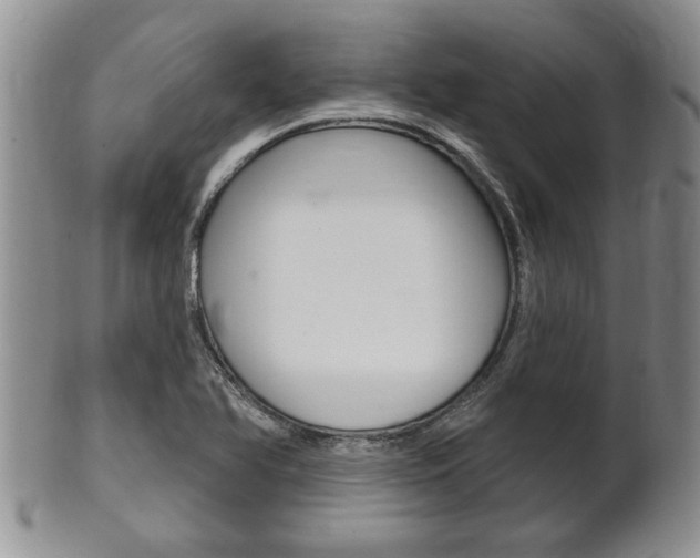 X0000102501366200808080935