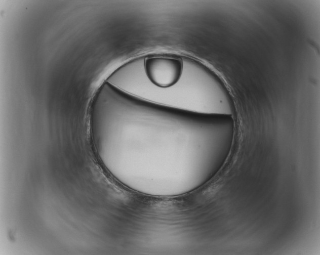 X0000102501367200808080935