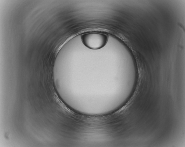 X0000102501369200808080935