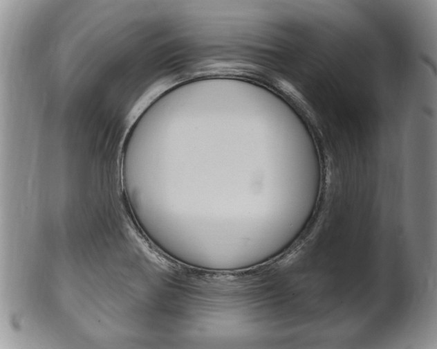 X0000102501370200808080935