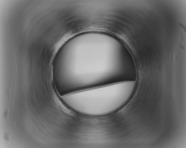 X0000102501371200808080935