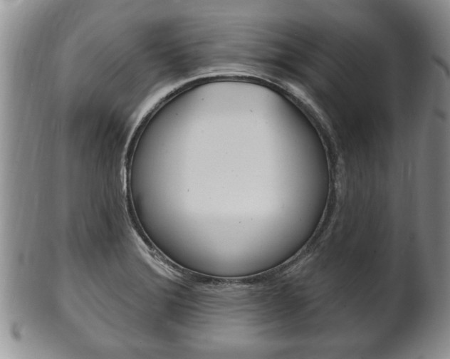X0000102501372200808080935