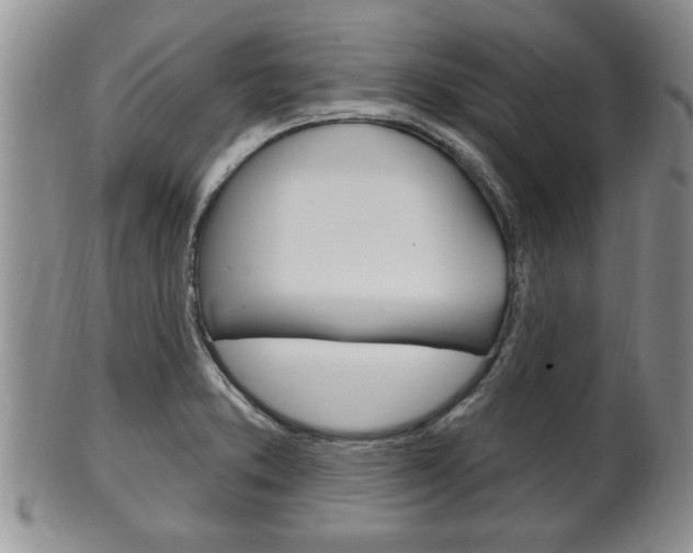 X0000102501373200808080935