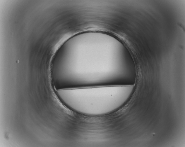 X0000102501375200808080935