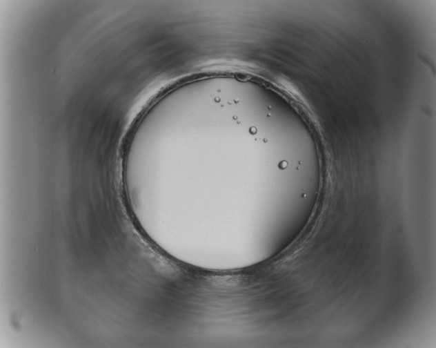 X0000102501376200808080935