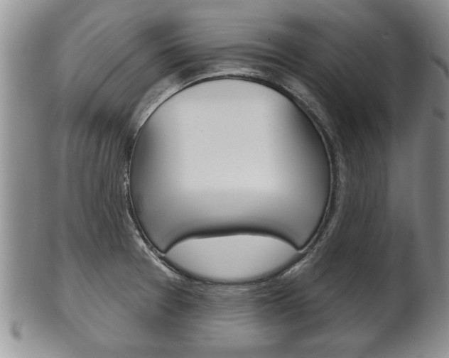 X0000102501377200808080935