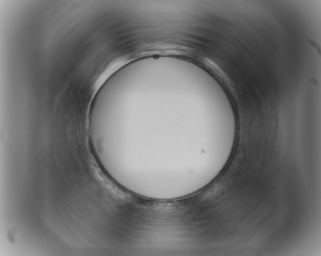 X0000102501378200808080935
