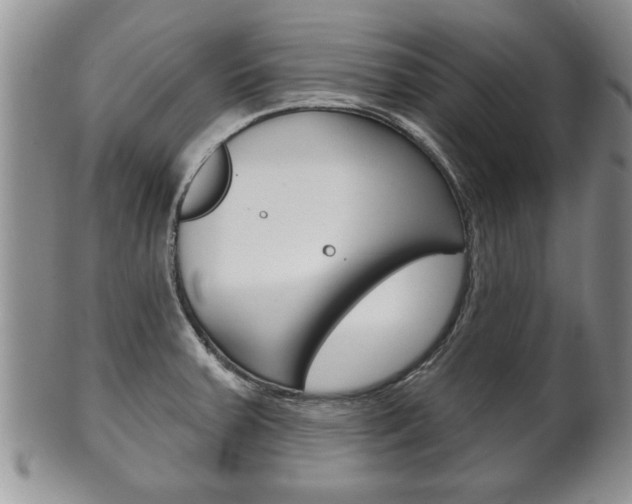 X0000102501379200808080935