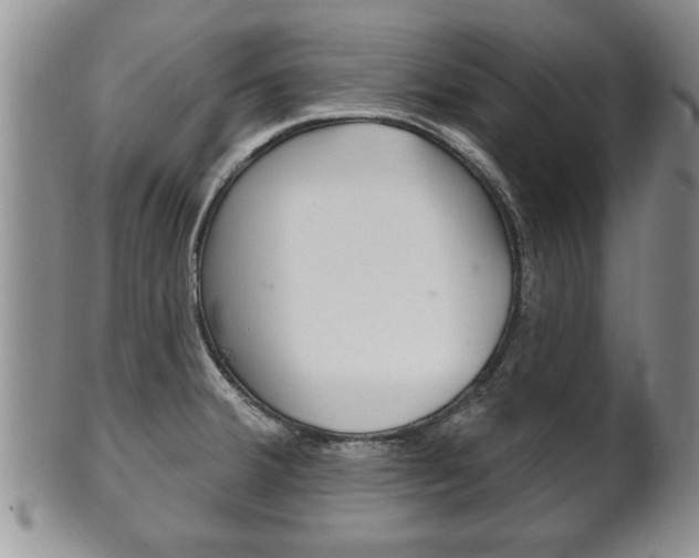 X0000102501380200808080935