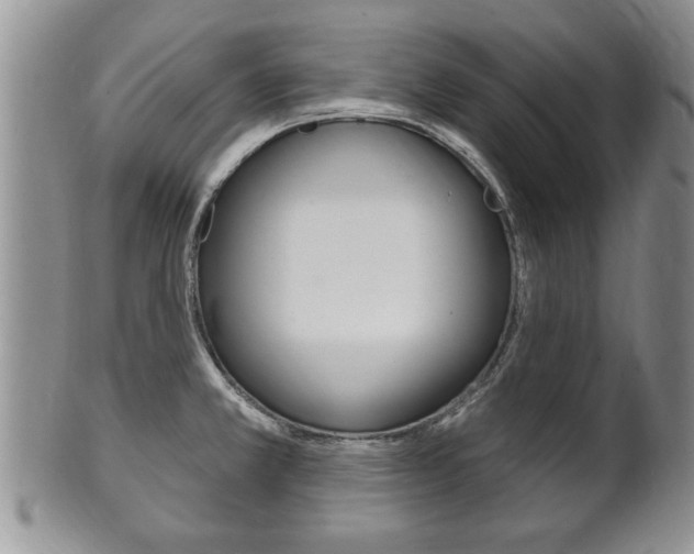 X0000102501381200808080935
