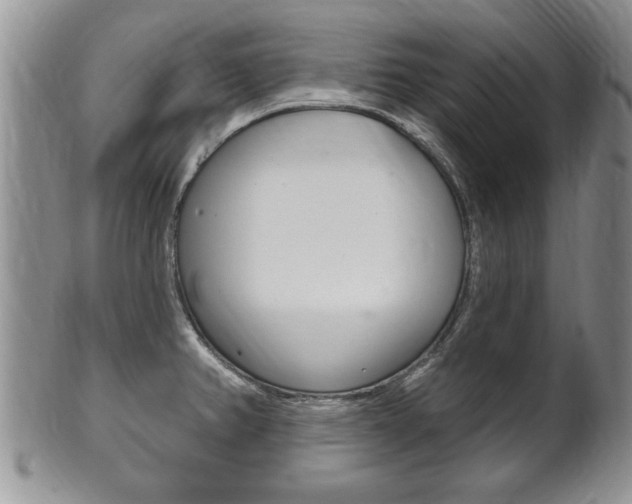 X0000102501382200808080935