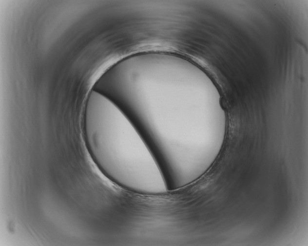 X0000102501383200808080935