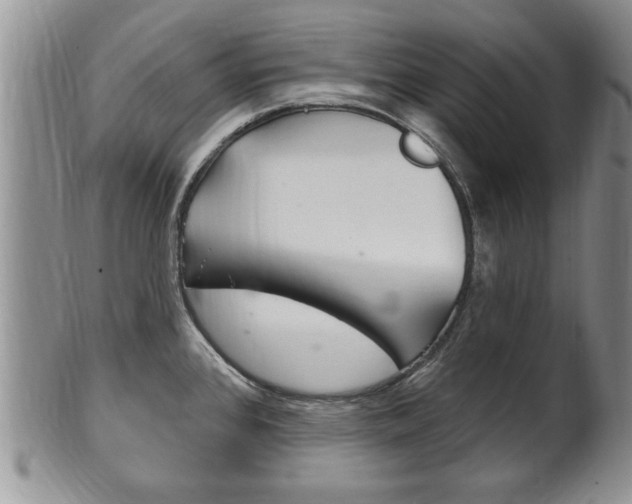 X0000102501384200808080935