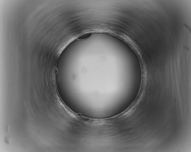 X0000102501385200808080935