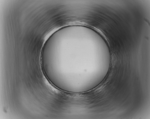 X0000102501387200808080935