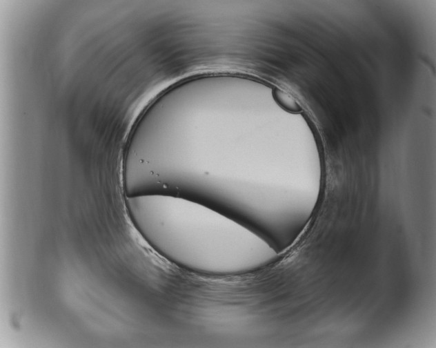 X0000102501388200808080935