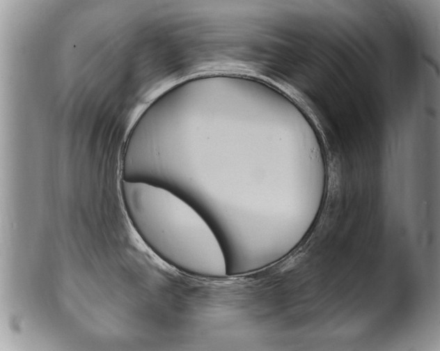 X0000102501390200808080935